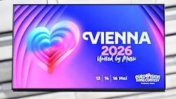 Die Teilnehmer für den ESC-Vorentscheid stehen fest.