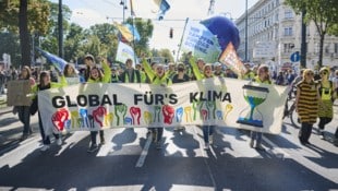 Laut der Klimaschützer würde die ÖVP durch die verschobene Abstimmung den Klimaschutz ...