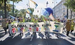 Laut der Klimaschützer würde die ÖVP durch die verschobene Abstimmung den Klimaschutz ...
