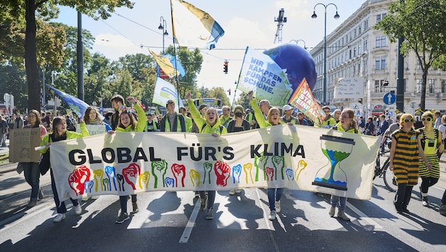 Laut der Klimaschützer würde die ÖVP durch die verschobene Abstimmung den Klimaschutz ...