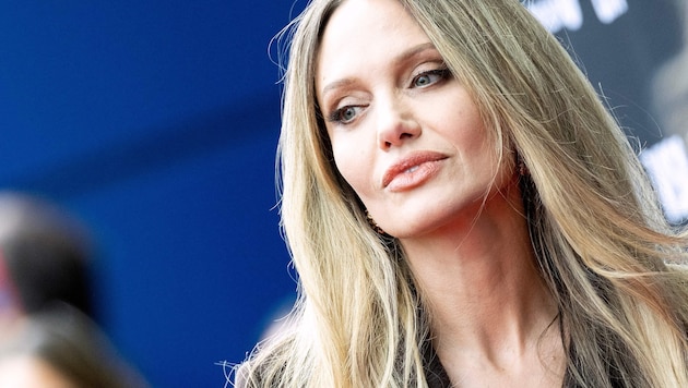 Angelina Jolie schilderte in den Gerichtsakten unter anderem, dass sie und ihre Kinder die ...