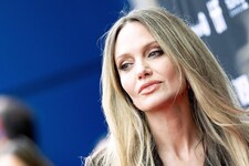 Angelina Jolie schilderte in den Gerichtsakten unter anderem, dass sie und ihre Kinder ...
