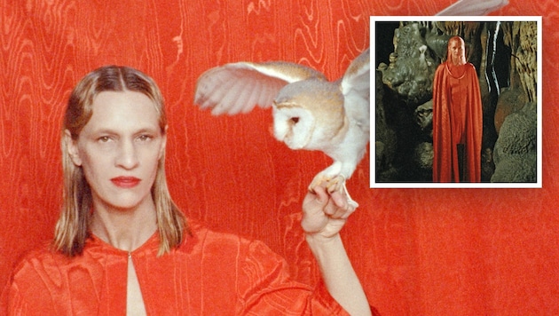 Keine Angst – die Eule von Teresa Rotschopf hat sich nicht in die oststeirische Tropfsteinhöhle ...