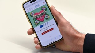Bei Stichproben-Überprüfung flog der Betrüger auf.