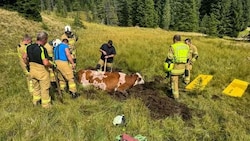 Die Kuh konnte sich nicht mehr selbst befreien.