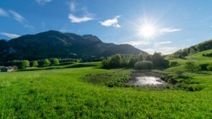 Die Pläne für ein Heizwerk am Fuße des Siriuskogels sorgen in Bad Ischl für großen Wirbel.