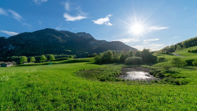 Die Pläne für ein Heizwerk am Fuße des Siriuskogels sorgen in Bad Ischl für großen Wirbel.