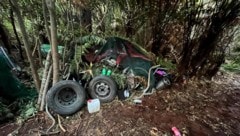 Im Dickicht konnten Beamte das – bzw. eines der – Lager des Vaters ausheben. Dort hielten sich ...