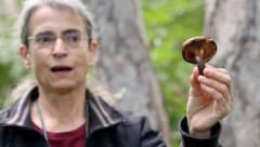 Mit Pilz-Forscherin Irmgard Greilhuber unterwegs