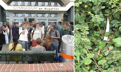 Im Fall des vermeintlichen Schul-Attentats im Gymnasium Augarten (rechts im Bild eines der ...
