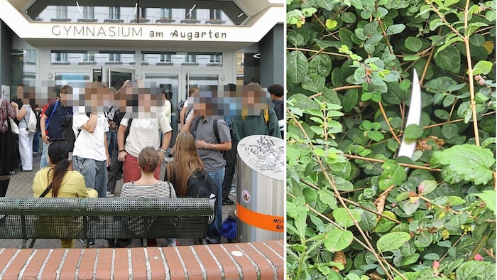 Im Fall des vermeintlichen Schul-Attentats im Gymnasium Augarten (rechts im Bild eines der ...