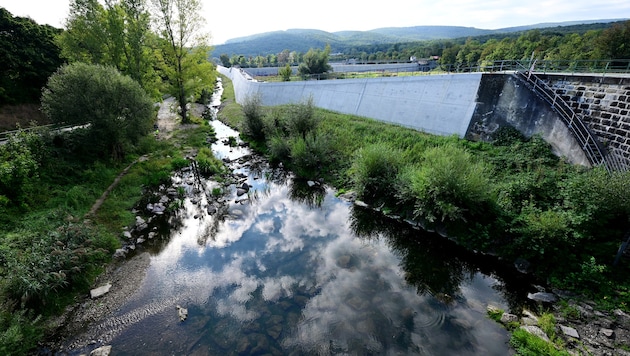 Der Experte Gerald Loew erklärt die Hintergründe zum Hochwasserschutz in Wien. Die Flut im ...