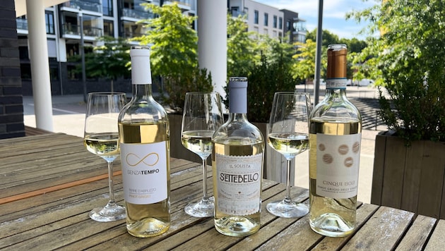 Mit diesen Pinot Grigio wird der Herbst zum Hochgenuss