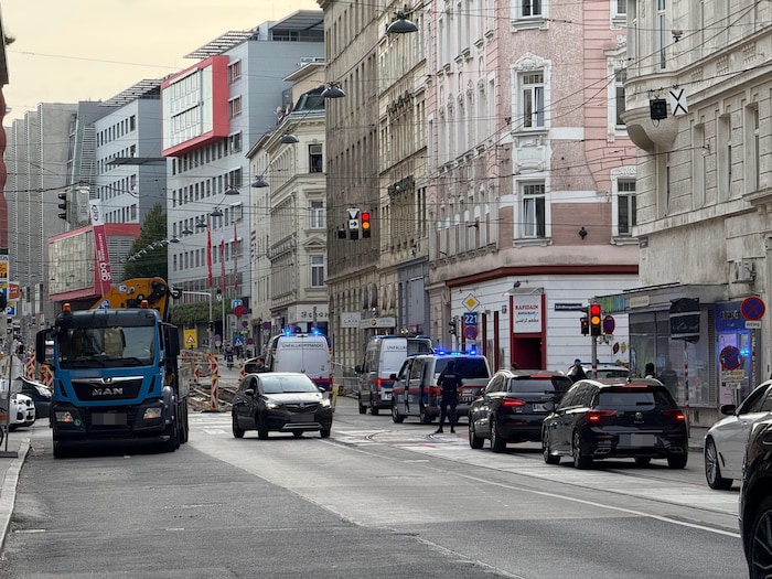 Als die Ampel auf Grün sprang, fuhr der Lkw los und erfasste dabei die Seniorin.