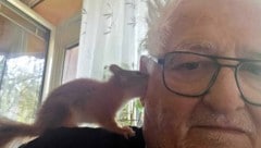 Eichhörnchen-Flüsterer Helmut Peuerl hofft, dass es seinem „Valentino“ in der Obhut der Stadt ...