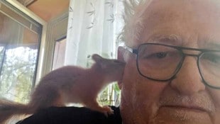 Eichhörnchen-Flüsterer Helmut Peuerl hofft, dass es seinem „Valentino“ in der Obhut der Stadt ...