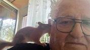 Eichhörnchen-Flüsterer Helmut Peuerl hofft, dass es seinem „Valentino“ in der Obhut der Stadt ...