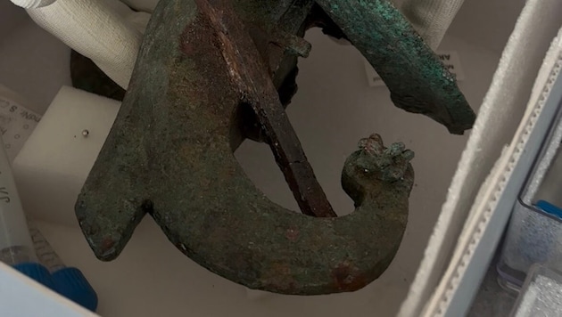 Der Schiffsbug ist das größte Objekt aus der Römerzeit, das in Salzburg seit 1943 gefunden ...