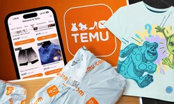 Online-Shopping boomt. Plattformen wie Temu punkten zusätzlich mit kleinen Preisen – zum ...