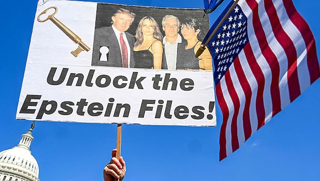 Demonstranten vor dem Kapitol in Washington D.C. fordern die Freigabe aller Epstein-Akten. ...