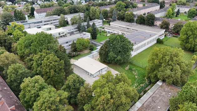 Am Bindermichl hat man heuer reagiert, um dem steigenden Platzbedarf entgegenzuwirken: Im ...