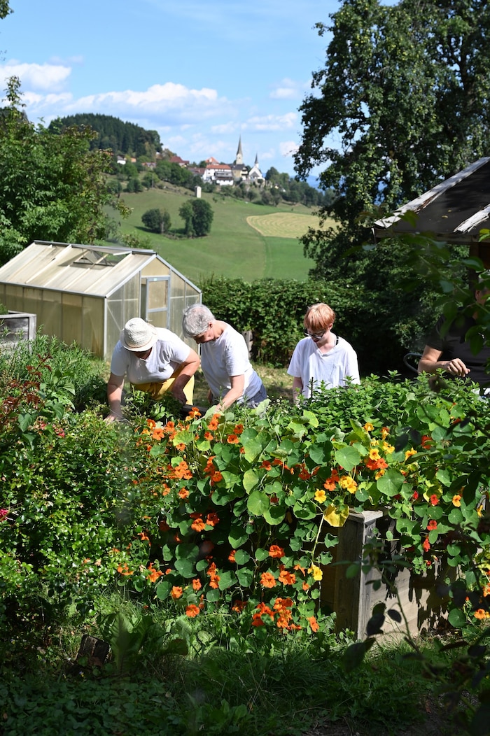 Sinnvolle Aufgaben und Zeit im Grünen gibt’s in Camphill zu genüge.
