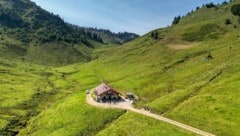 Das Panorama rund um die Feldalm wirkt fast wie eine Postkarte.