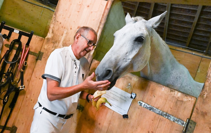 „Sparkling“, neben seiner Frau Irmgard die zweite Liebe von Karl Schager. Nach 35 Jahren Pause ...