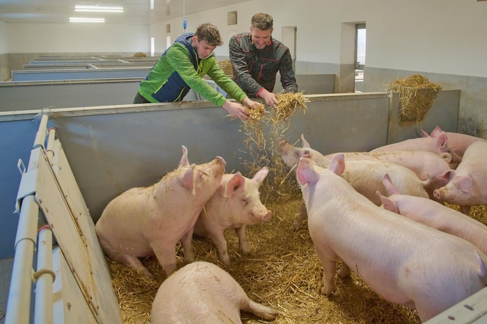 Die Tiere fühlen sich wohl