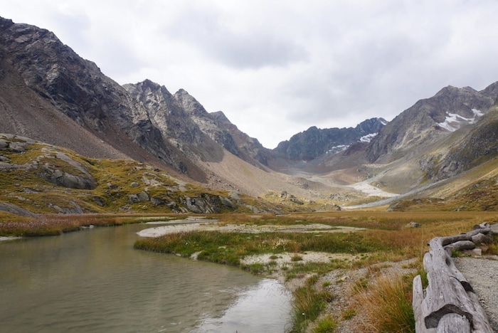 Das alpine Hochmoor „Hohes Moos“ befindet sich direkt hinter der Hütte.