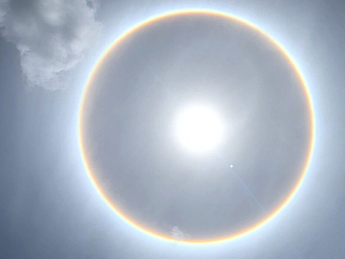 Mariana ladeira x videos