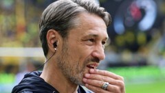 Dortmund-Trainer Niko Kovac