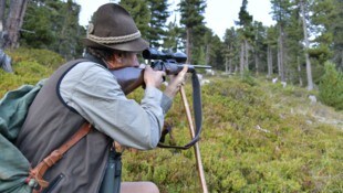 Die Bundesforste betreuen in Tirol eine Fläche von 250.000 Hektar, ein Fünftel der Landesfläche. ...