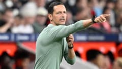 Eintracht-Coach Dino Toppmöller