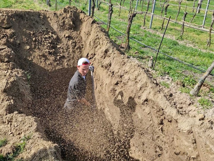 Unter beträchtlichen Mühen wurden die Barriquefässer vergraben.