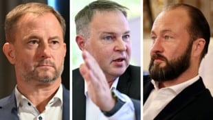 Fürst kritisiert Babler, Lercher hätte sich mehr erhofft.