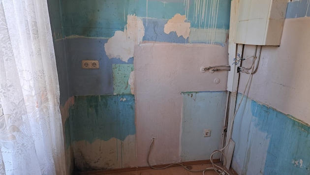 Wer auf eine geförderte Mietwohnung angewiesen ist, muss diese schimmlige Garconniere in Kauf ...