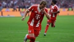 Harry Kane traf gegen den HSV doppelt.