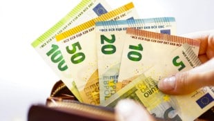 Ein Unterausschuss des Nationalrats kommt dem Anliegen der FPÖ nach und untersucht staatliche ...