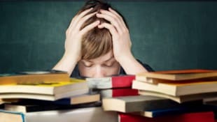 In Österreich waren zuletzt in der Volksschule rund die Hälfte und in den Mittelschulen bzw. ...