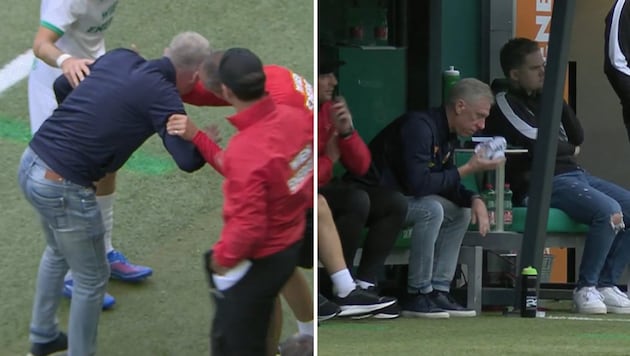 Schmerzhaft! Rapid-Trainer Peter Stöger kassierte einen Treffer ins Gesicht.