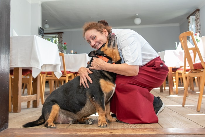 Dackel-Bernersennenhundmischling Grecco gehört zum Inventar des gemütlichen Gasthauses.