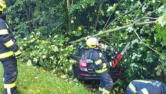 Die Feuerwehrleute mussten den verunfallten Wagen aus dem Wald schneiden