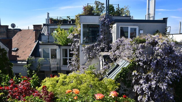 Mehr Grün in heimischen Städten ist das Ziel.