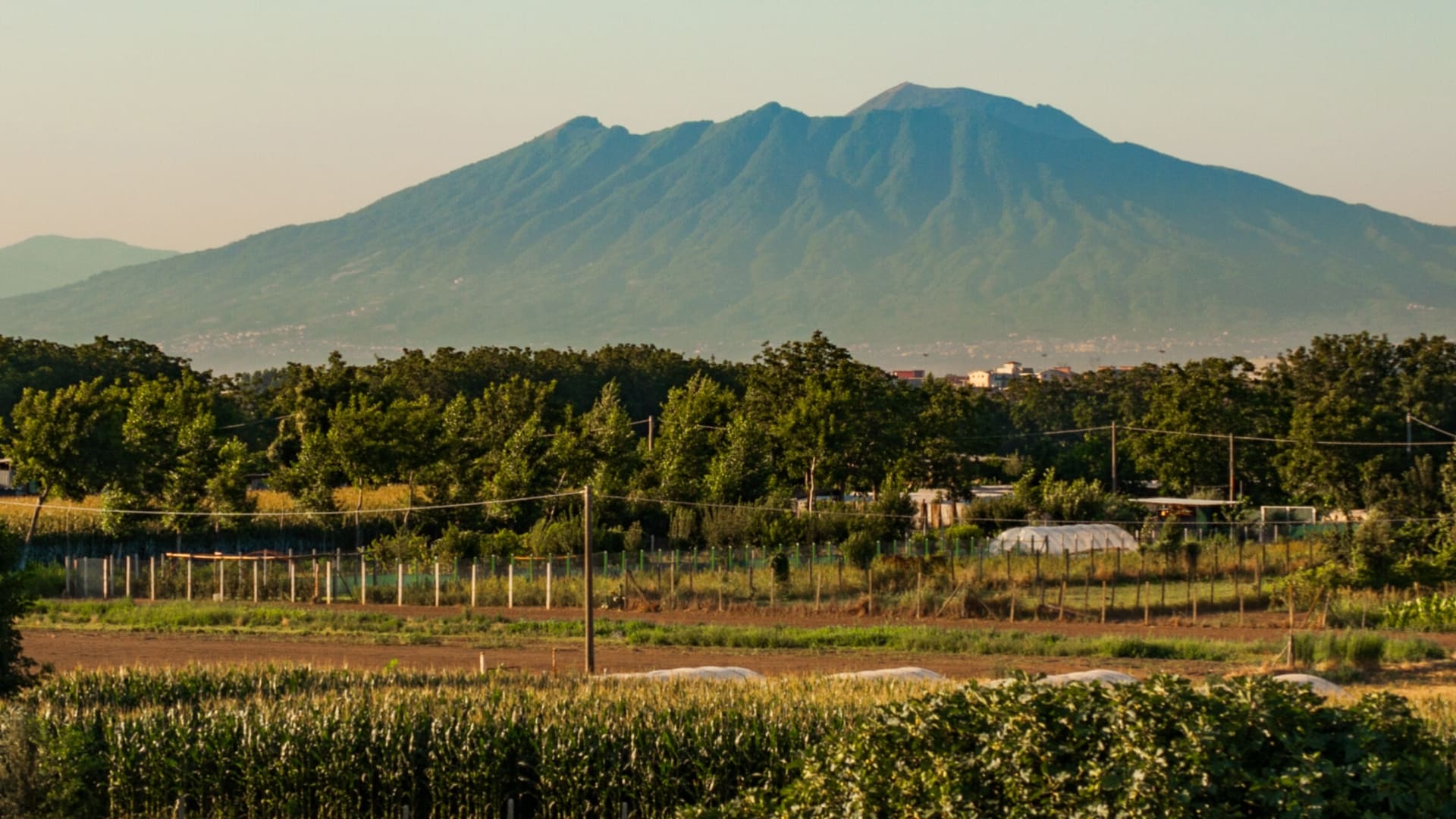 Vlad f1nn5ter of leak this was the best experience Ive had