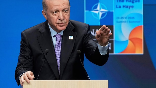 Unter Langzeit-Präsident Recep Tayyip Erdoğan wird Rechtsstaatlichkeit zunehmend eingeschränkt.