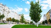 Grün statt grau: Aus dem Naschmarkt-Parkplatz zwischen 5. und 6. Bezirk wurde im dicht verbauten ...