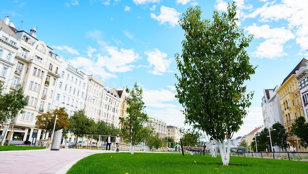 Grün statt grau: Aus dem Naschmarkt-Parkplatz zwischen 5. und 6. Bezirk wurde im dicht verbauten ...