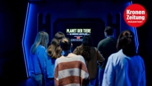 Die aktuelle Ausstellung „Planet der Tiere“ lädt zu einer Reise durch die faszinierendsten ...