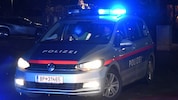 Mehrere Streifen mussten einschreiten, um die wilden Fußballfans unter Kontrolle zu bekommen ...